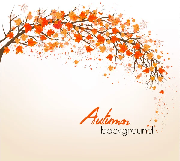 Beautiful autumn nature background with trees. Vector. — Stock Vector