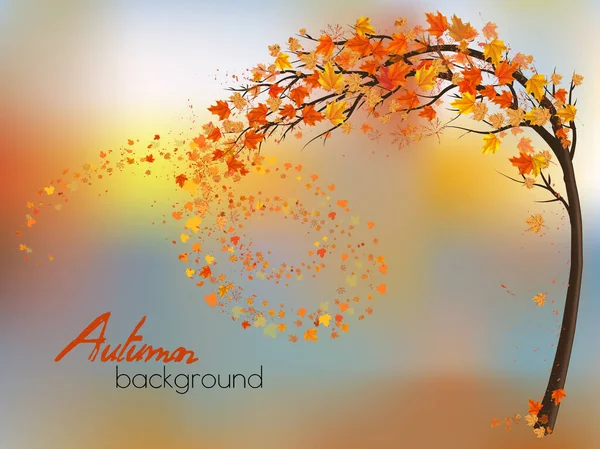 秋天的自然背景 有一棵树和五彩斑斓的树叶 — 图库矢量图片
