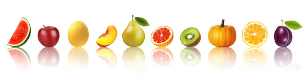 Panorama Świeżych Owoców Warzyw Rzędzie Refleksją Arbuz Kokos Melon Miodowy — Wektor stockowy