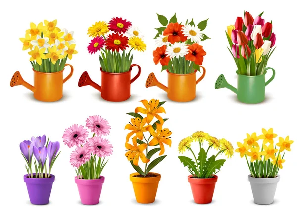 Mega Colección Flores Coloridas Primavera Verano Macetas Latas Riego Jarrones — Vector de stock