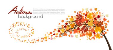 Bir ağaç ve renkli yapraklarla sonbahar apse arka planı. Vektör.