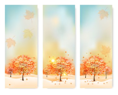 Renkli yapraklı üç soyut sonbahar afişi. Vektör