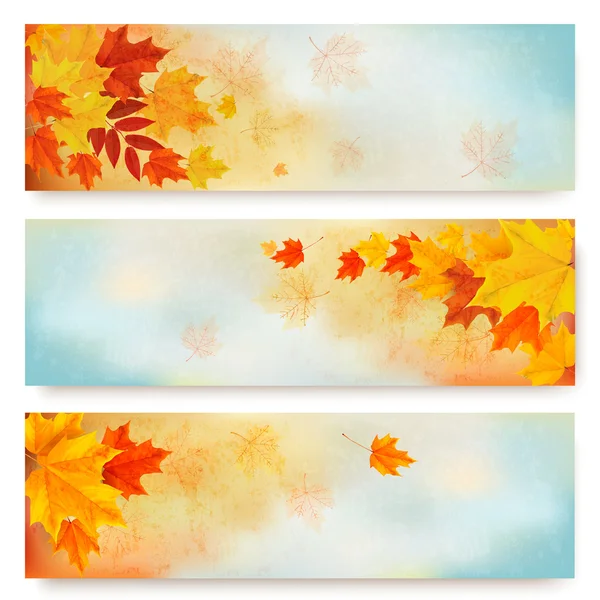 Tres banderas abstractas de otoño con hojas de color. Vector — Archivo Imágenes Vectoriales