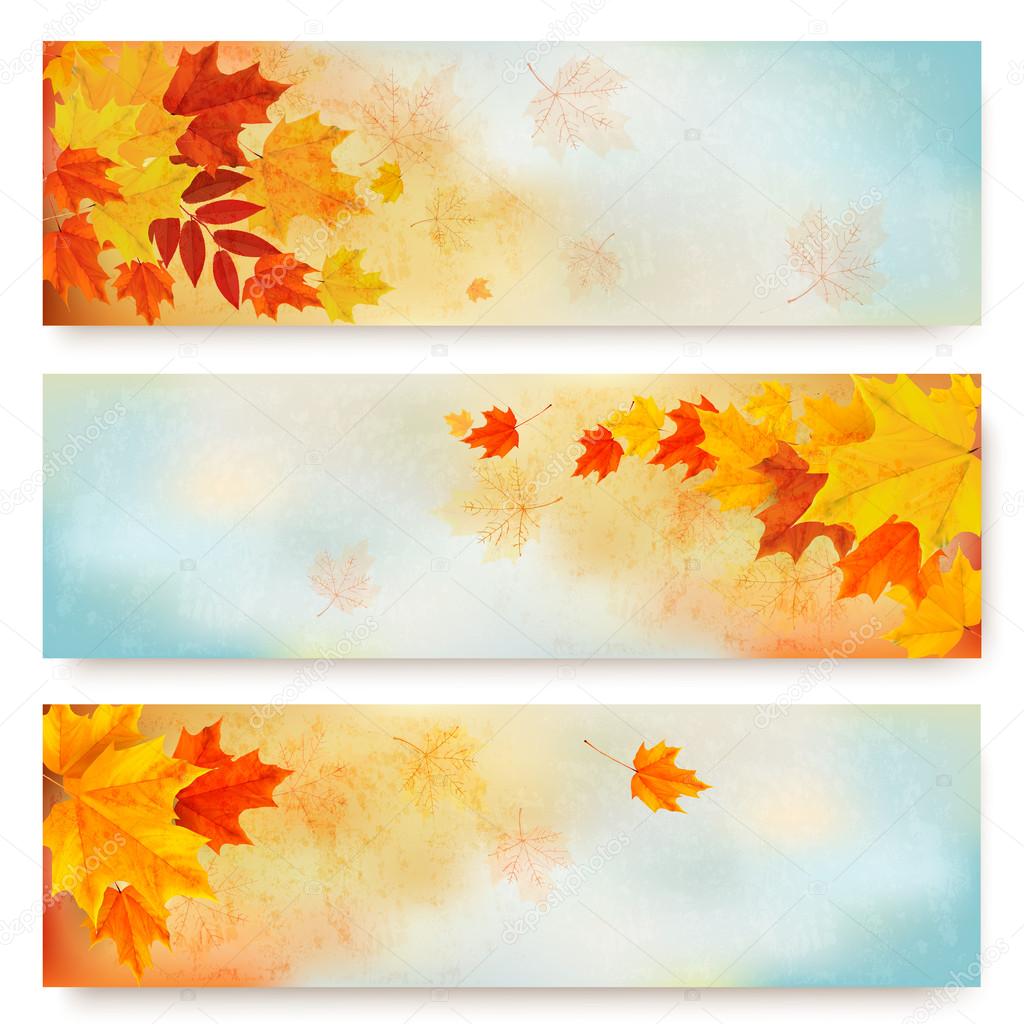 Three abstract autumn banners with color leaves. Vector