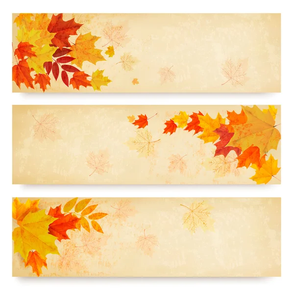 Tres banderas abstractas de otoño con hojas de color. Vector — Archivo Imágenes Vectoriales