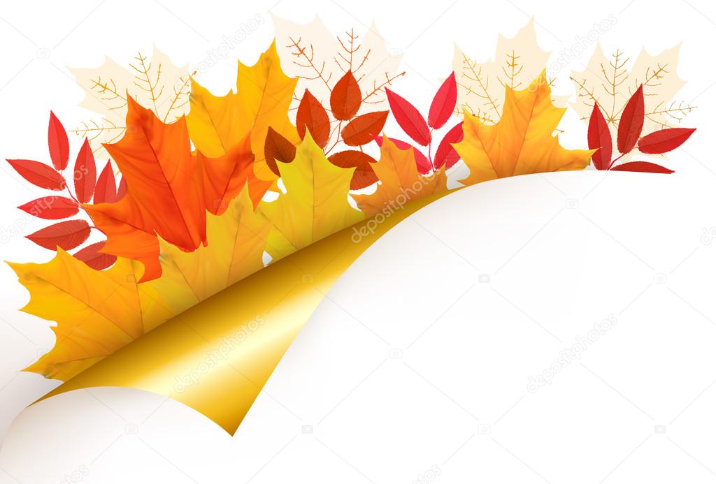 Autumn background with leaves. Vector illustration.