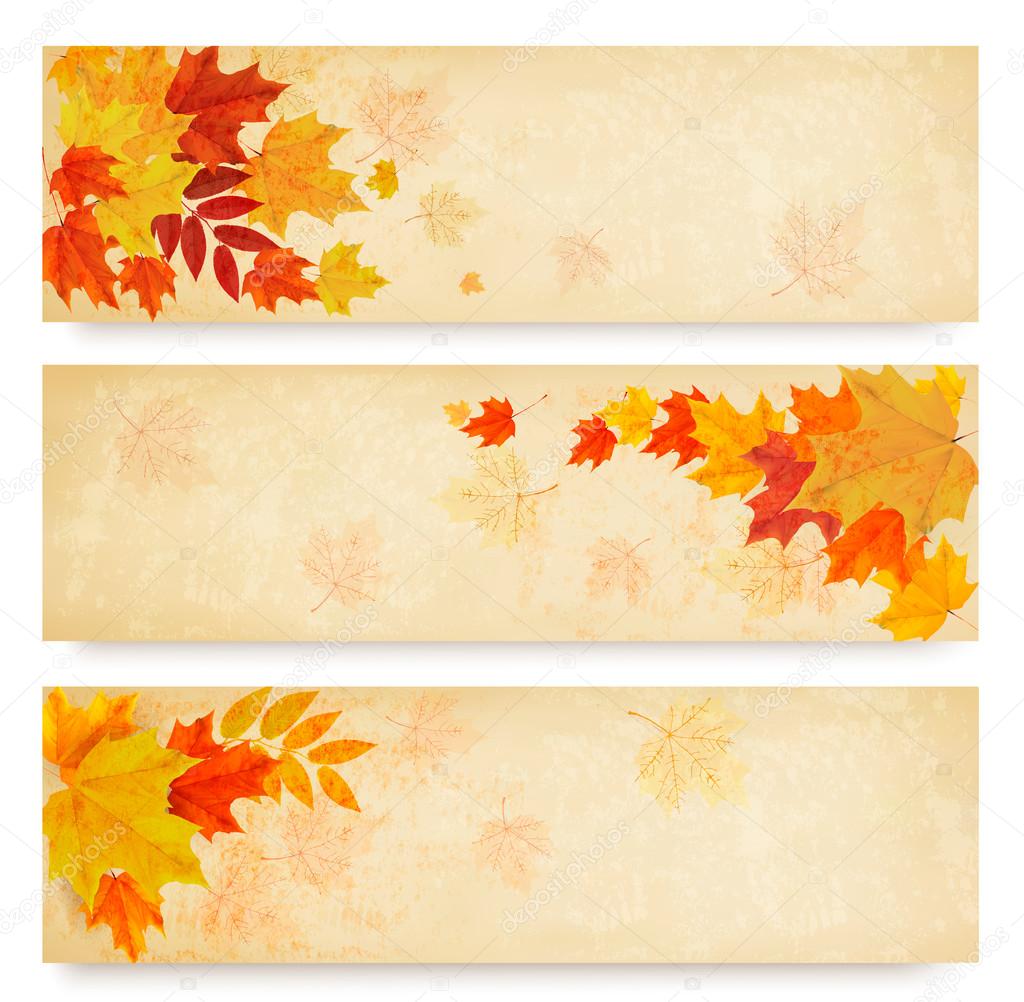 Three abstract autumn banners with color leaves. Vector 