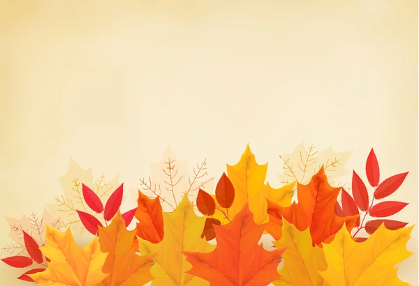 Fond d'automne abstrait avec des feuilles colorées. Illustrtra vectoriel — Image vectorielle
