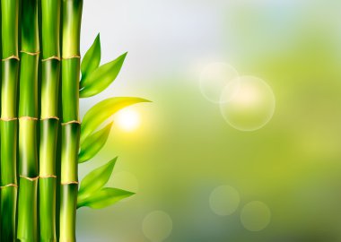 Spa arka plan ile bamboo.vector