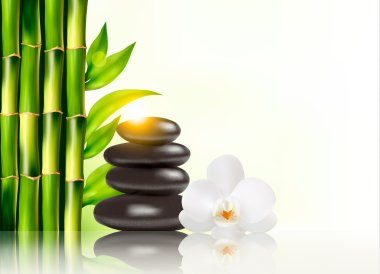 Spa arka plan bambu ve stones.vector ile