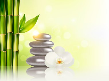 Spa arka plan bambu ve stones.vector ile