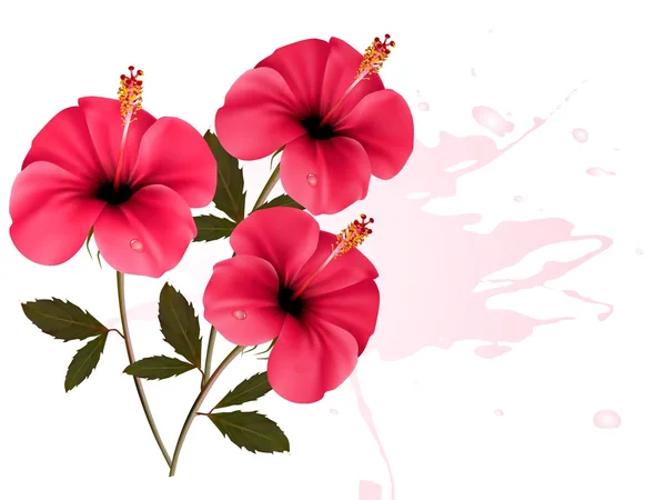 Three pink flowers background. Vector. — Stock Vector