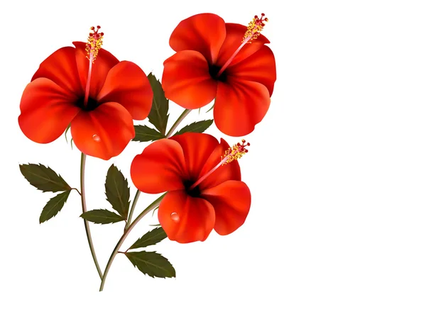 Three red flowers background. Vector. — Stock Vector