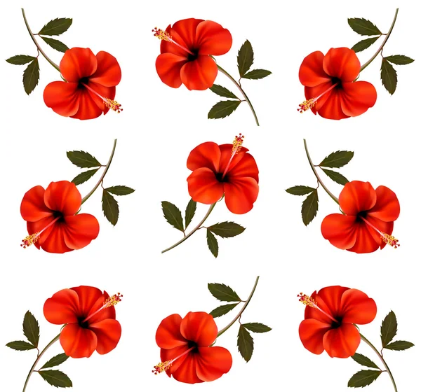 Patrón de hermosas flores rojas. Vector . — Vector de stock