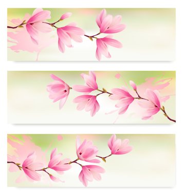 Üç bahar afiş Pembe çiçek blossom brunch ile. Vektör