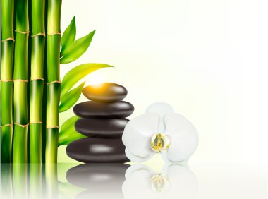 Spa arka plan bambu ve stones.vector ile