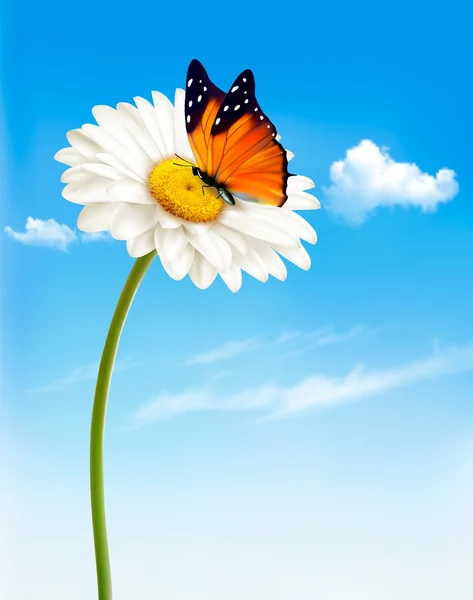 Nature spring daisy flower with butterfly. Vector illustration — Stock Vector