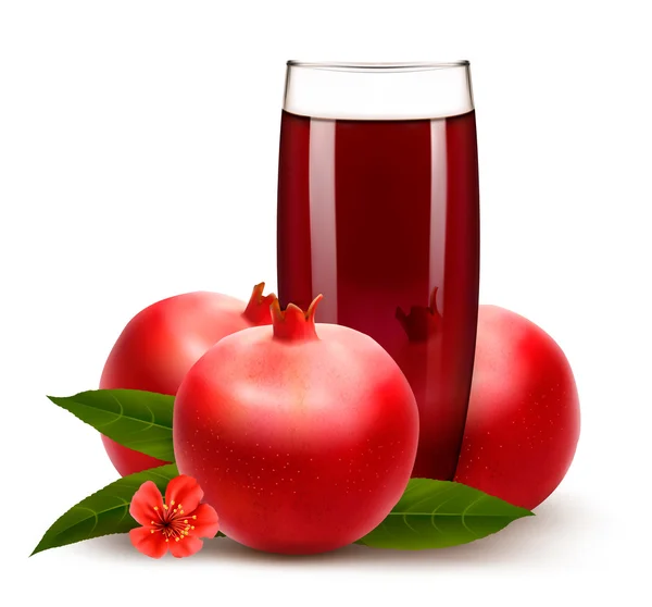 Glass of pomegranate juice with fruit. Vector. — Stock Vector