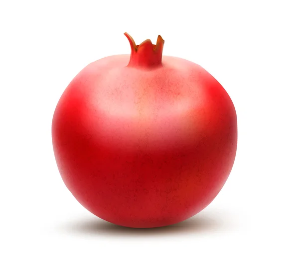 Juicy pomegranate. Vector — Stock Vector