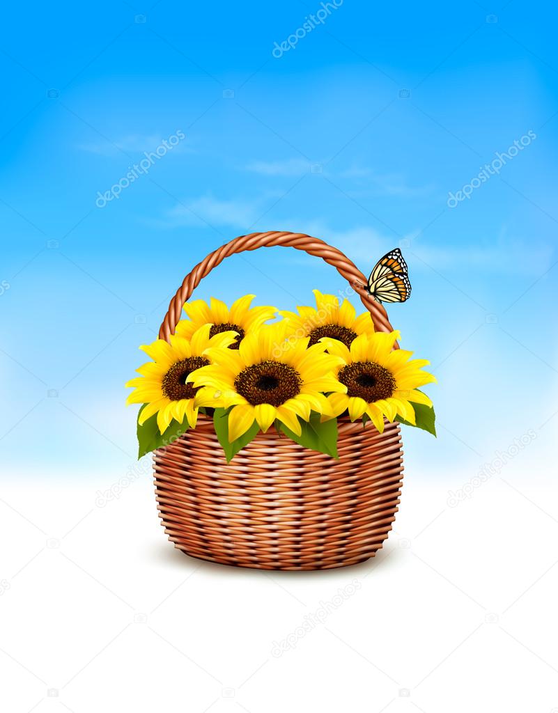 Spring background. Basket full of sunflowers and a butterfly. Ve