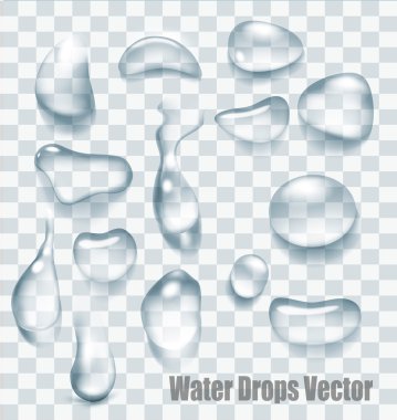 Drops of water on a transparent background. Vector. clipart