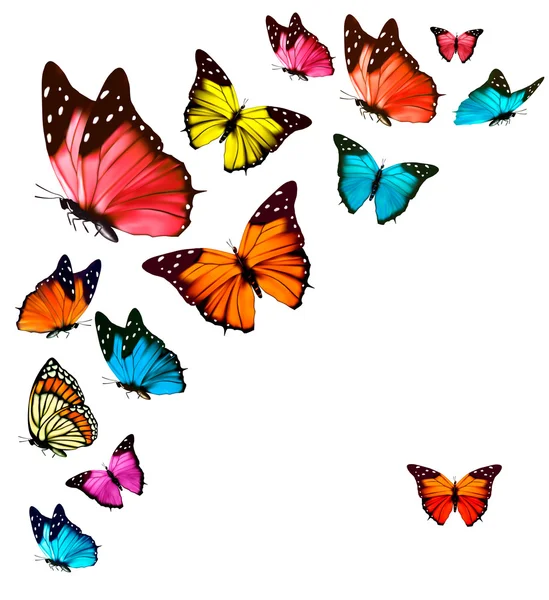 Background with colorful butterflies. Vector. — Stock Vector