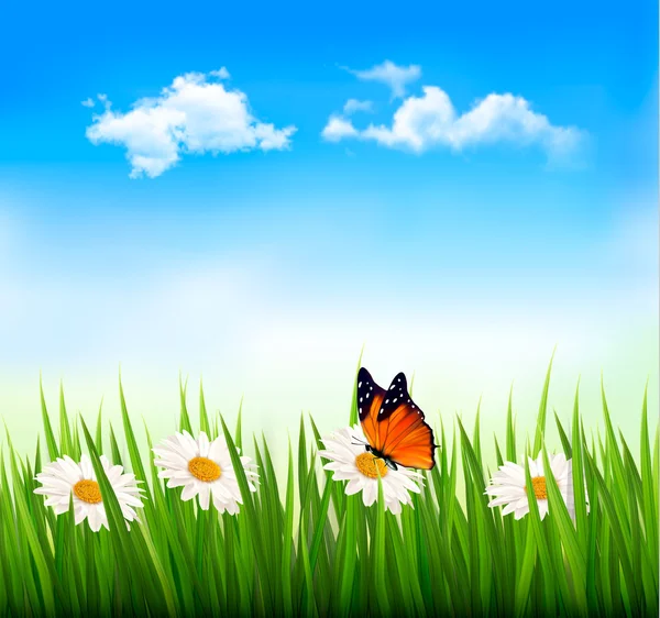 Nature background with green grass, flowers and a butterfly. Vec — Stock Vector