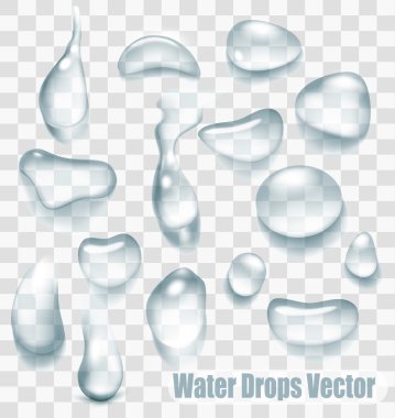 Big set of transparent drops of water. Vector.
