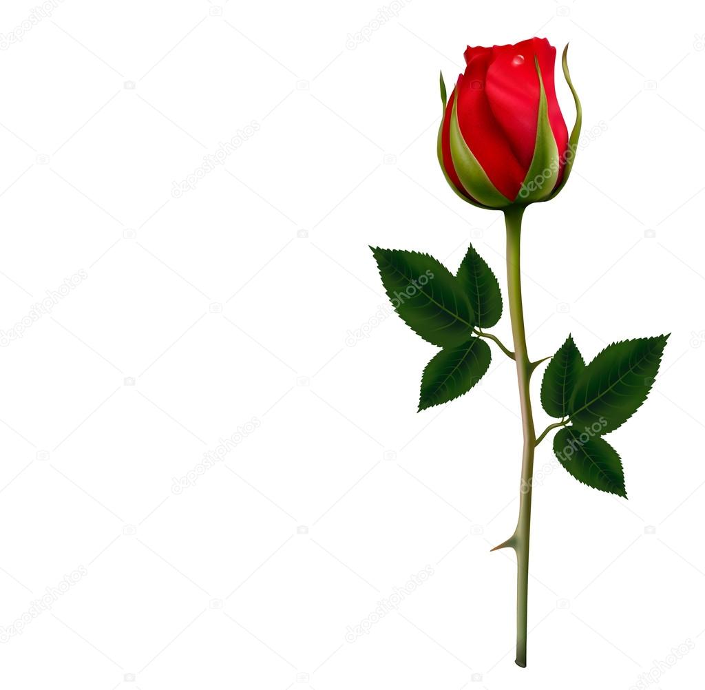 pics Roses Vector Stock Background Flower https depositphotos com 67946305 stock illustration flower background with a beautiful html