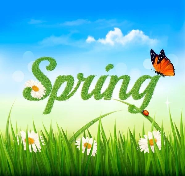 Fondo de primavera con hierba, cielo y una mariposa. Vector . — Vector de stock