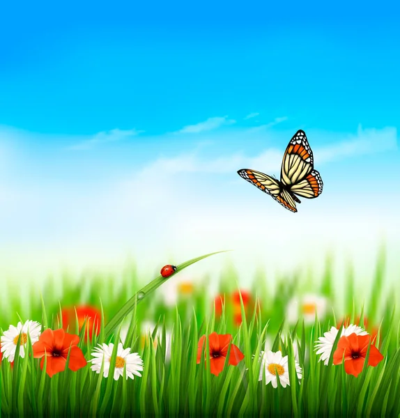 Nature été fleurs colorées avec papillon. Illustration vectorielle — Image vectorielle