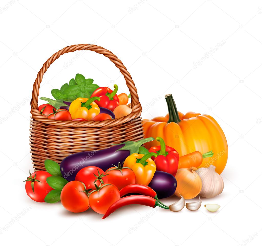 A basket full of fresh vegetables. Vector background.