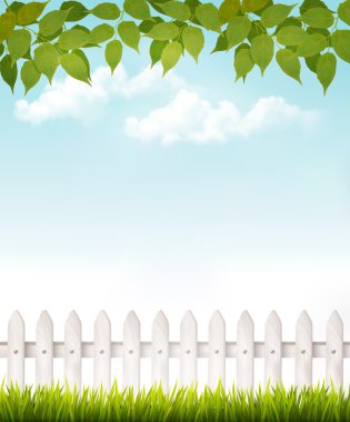 Nature background with green leaves and white french. Vector. clipart