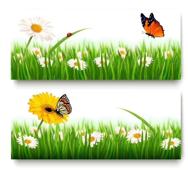 Sommer Natur Banner mit bunten Blumen und Schmetterling. Vecto — Stockvektor