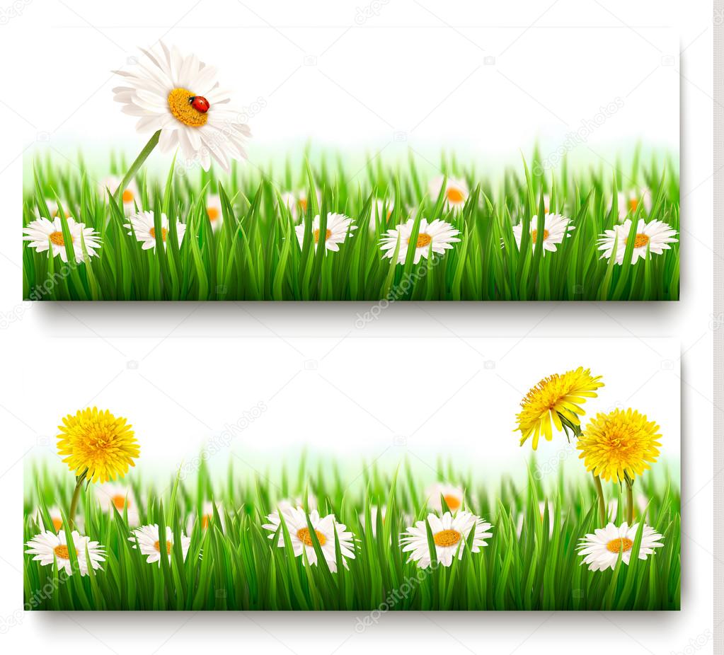 Two nature banners with colorful spring flowers with ladybug. Ve