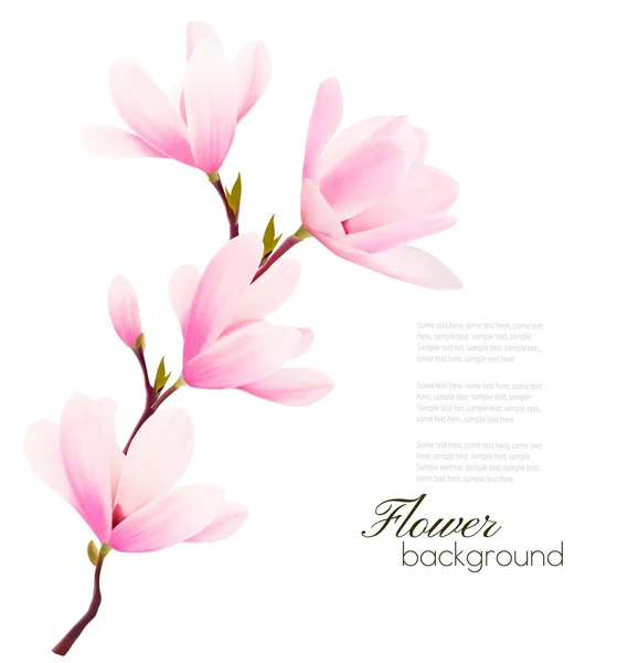 Bloem achtergrond met bloesem tak van roze bloemen. Vector — Stockvector