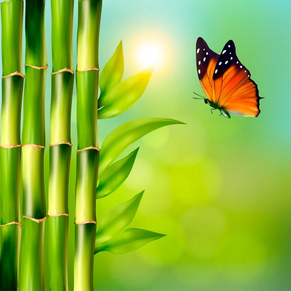 Spa achtergrond met bamboe en vlinder. Vector — Stockvector