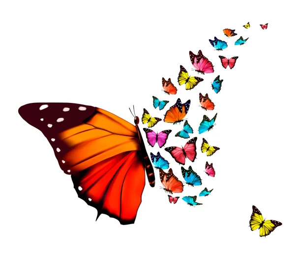 Hermoso fondo de mariposa. Vector . — Vector de stock