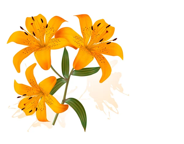 Flower Background With Three Beautiful Lilies. Vector. — Stockvector