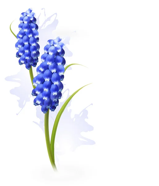 Nature background with blue flowers. Vector — Stock Vector