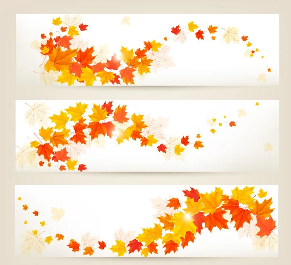 Three autumn banners with colorful leaves Vector — Stock Vector