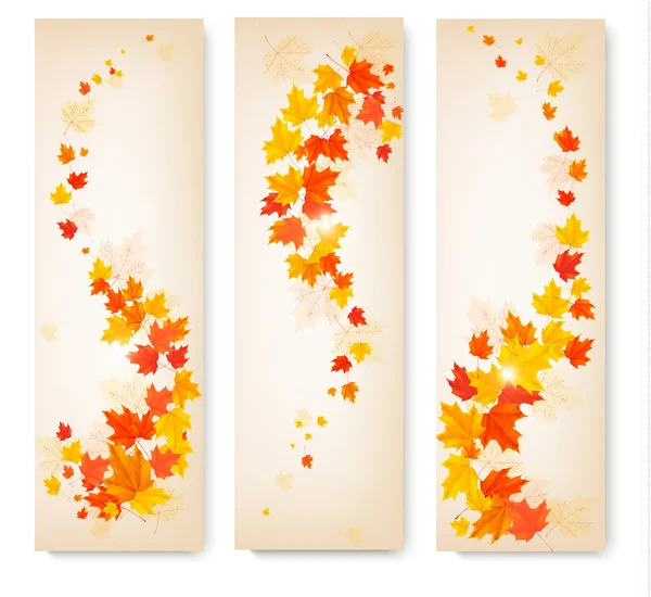 Tres pancartas de otoño con hojas coloridas Vector — Vector de stock