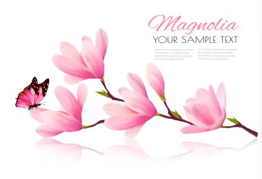 Pembe Manolya ve butte çiçeği dalı ile çiçek arka plan
