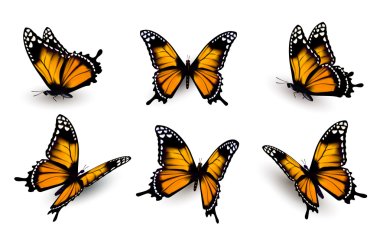 Six butterflies set. Vector. clipart