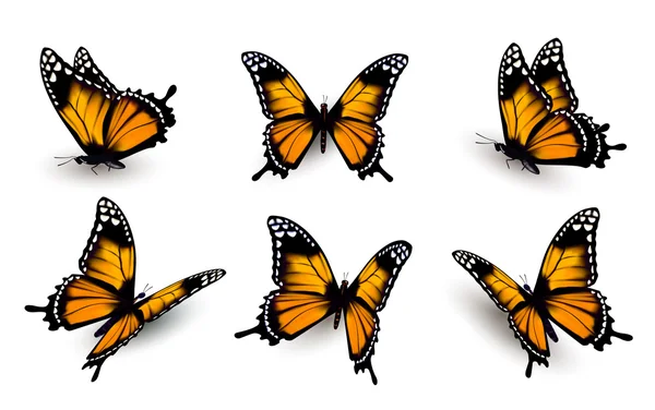 Six butterflies set. Vector. — Stock Vector