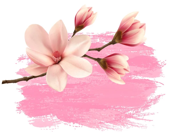 Pink paint magnolia branch banner. Vector. — Stock Vector