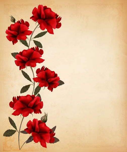 Rosas rojas sobre fondo de papel viejo. Vector . — Vector de stock