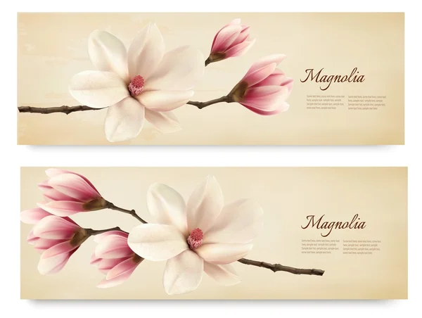 Due bellissimi striscioni retrò magnolia. Vettore . — Vettoriale Stock