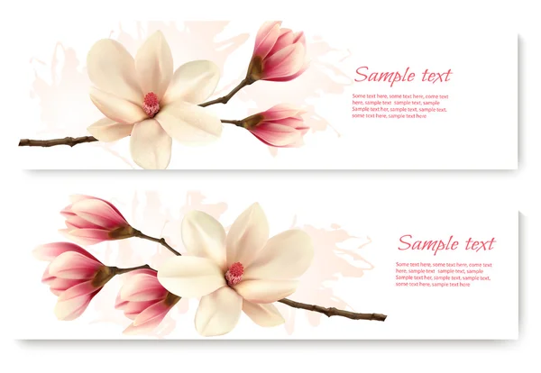 Dos hermosas pancartas de magnolia. Vector . — Vector de stock