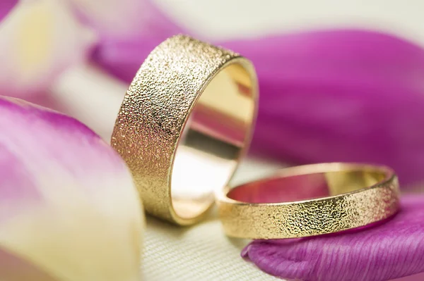 Two stylish textured gold wedding rings — Stock Photo, Image